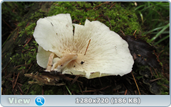 0_ead02_c88072e7_orig.png