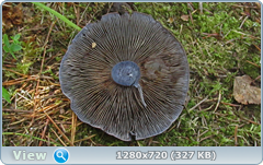 0_ec127_26be9204_orig.png