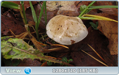 0_f274c_66d820f9_orig.png