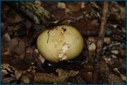 0_d2384_82b2bcb0_orig.jpg