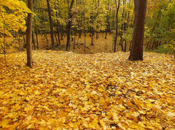 0_c369b_5540831a_M.jpg
