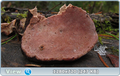 0_f6e74_ccd3b03f_orig.png