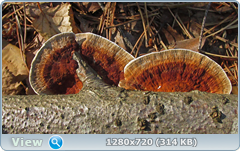 0_e937b_e418e8b4_orig.png