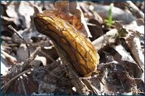 0_cc990_2868e236_orig.jpg