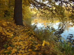0_c368b_50926e4d_M.jpg