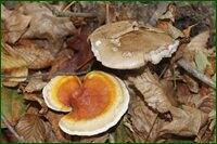 0_c19e9_7f62275f_orig.jpg