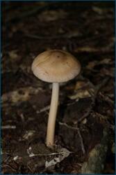0_cf4cc_988413d6_orig.jpg