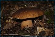 0_d2ae2_ff9c980c_orig.jpg