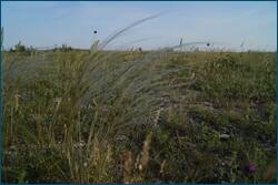 0_ceac2_8d320f46_orig.jpg
