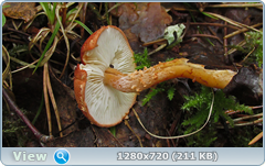 0_eab5d_520366d3_orig.png