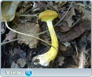 0_130bcd_859f0cd8_orig.png