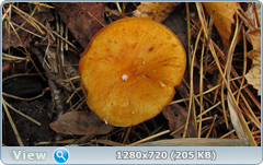 0_f4f99_87bb48bf_orig.png