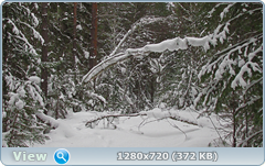 0_fb5e9_6780d5e3_orig.png