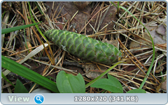 0_e7462_ab5f5ba2_orig.png