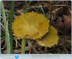 0_eafeb_765212b9_orig.png