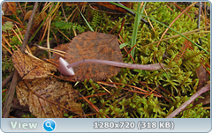 0_f27c8_3ee76337_orig.png