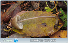 0_f27d2_cce656ea_orig.png