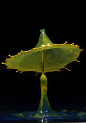 0_f3934_26e3d84c_M.jpg