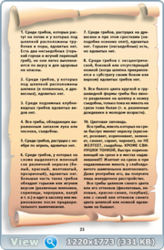 0_131346_42fecc43_orig.png