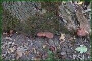 0_c12d9_ac5901f6_orig.jpg