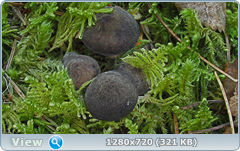 0_fb74e_3a720fd0_orig.png