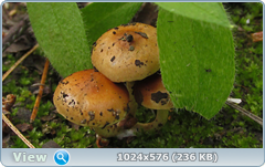 0_e7839_689ba0b6_orig.png