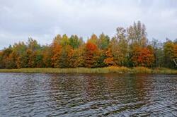 0_167905_a0e49342_M.jpg