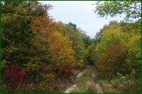 0_c1a13_6f23a539_orig.jpg