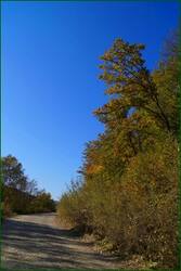 0_c3d1c_55ed2080_orig.jpg