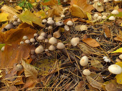 0_c3696_f3effd46_M.jpg