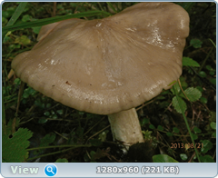 0_fb15f_b9c940fe_orig.png