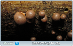 0_e6d0b_7dae6357_orig.png