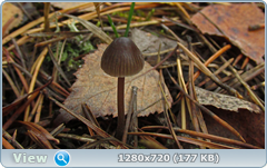0_f279a_8e0ce2b9_orig.png