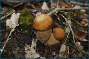 0_d2a86_900f63e8_orig.jpg