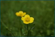 0_ce08b_f54c59b8_orig.jpg