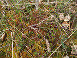 0_ad068_b1504f8e_S.jpg