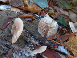 0_c4cea_21b57927_M.jpg