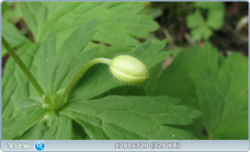 0_e3796_21056374_orig.png