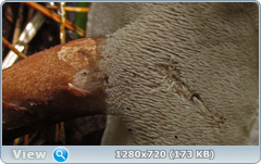 0_eb281_4600891b_orig.png