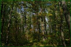 0_c28b4_9f55bfdb_orig.jpg
