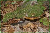 0_c19f3_14c376f1_orig.jpg