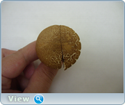 0_1305a6_97a0575f_orig.png