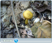 0_130bcb_caa83688_orig.png