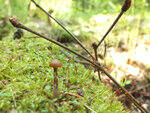 0_ba180_c594a826_S.jpg