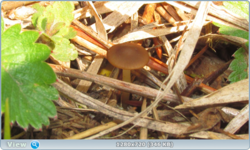 0_e1eac_ff6a0311_orig.png