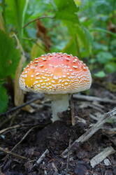 0_1638ff_f39e1b5d_L.jpg