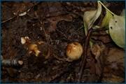 0_d2370_fbdfd9f1_orig.jpg