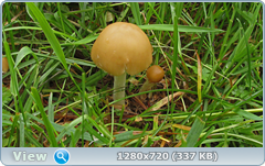 0_e6a12_13e02bd_orig.png