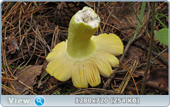 0_eab1f_70828914_orig.png