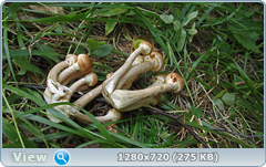 0_ef3c0_227f25f3_orig.png